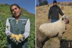 Agroemprendimientos en minería y energía