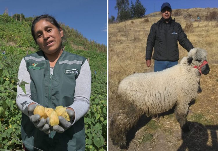 Agroemprendimientos en minería y energía