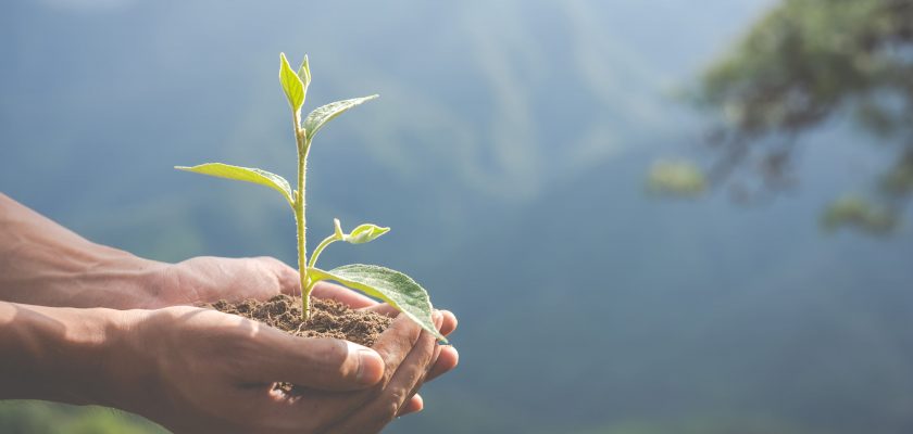 Environmental Data Program
