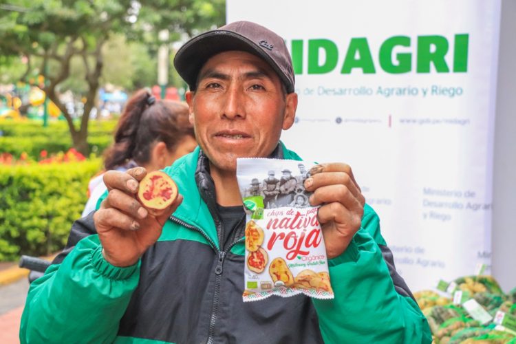 Día Nacional e Internacional de la Papa