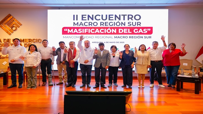 II Encuentro de la Macrorregión Sur sobre la Masificación del Gas