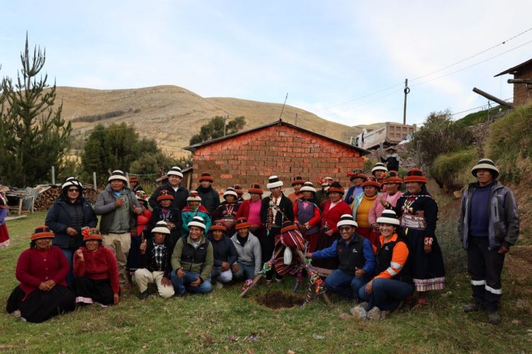 Minera Las Bambas impulsa proyecto para mejorar la producción de cuyes en Choquecca Antío