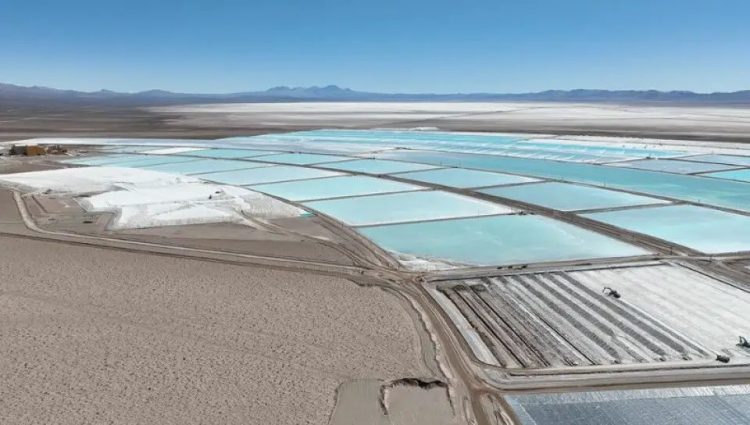 Salar del Rincón, Salta