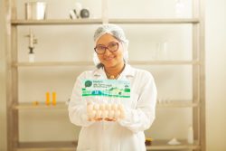 huevos de Taricaya de productores de Puinahua