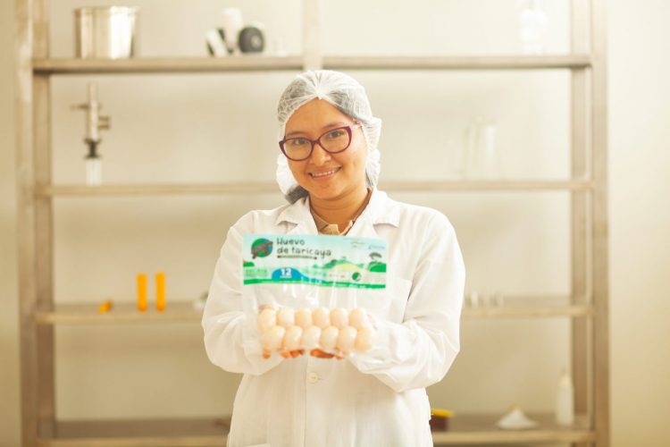huevos de Taricaya de productores de Puinahua