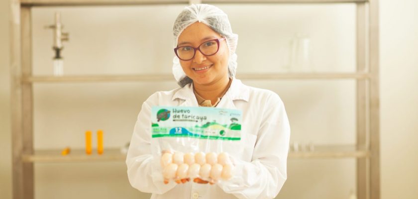 huevos de Taricaya de productores de Puinahua