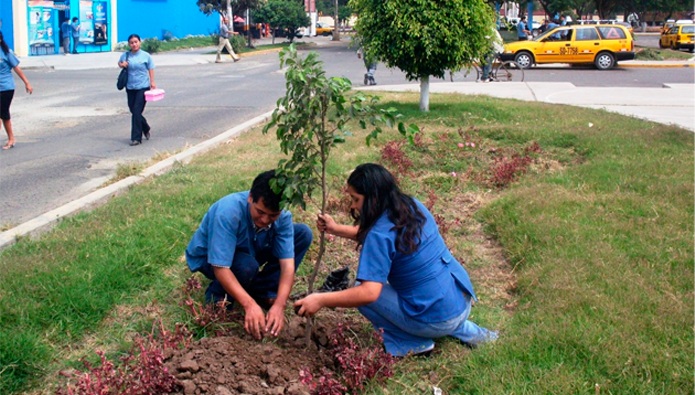 La acción ciudadana es clave para preservar nuestros recursos y adaptarnos al cambio climático. Foto: MINAM