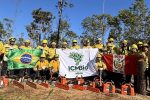 Perú y Brasil refuerzan vínculos de cooperación frente a incendios forestales