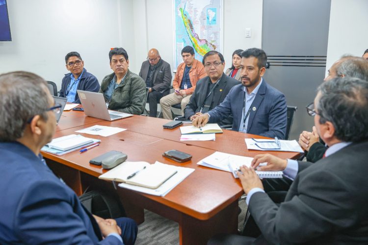 Sistema Interoperable de la Pequeña Minería y Minería Artesanal