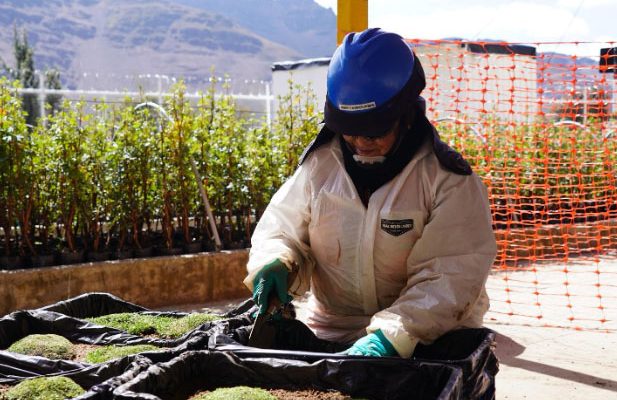 Minera Chinalco Perú biodiversidad andina