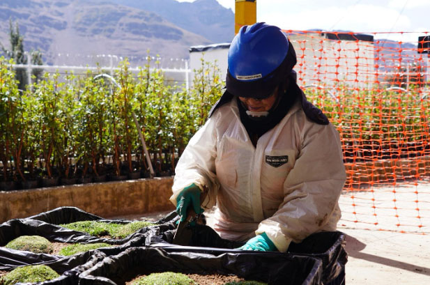Minera Chinalco Perú biodiversidad andina
