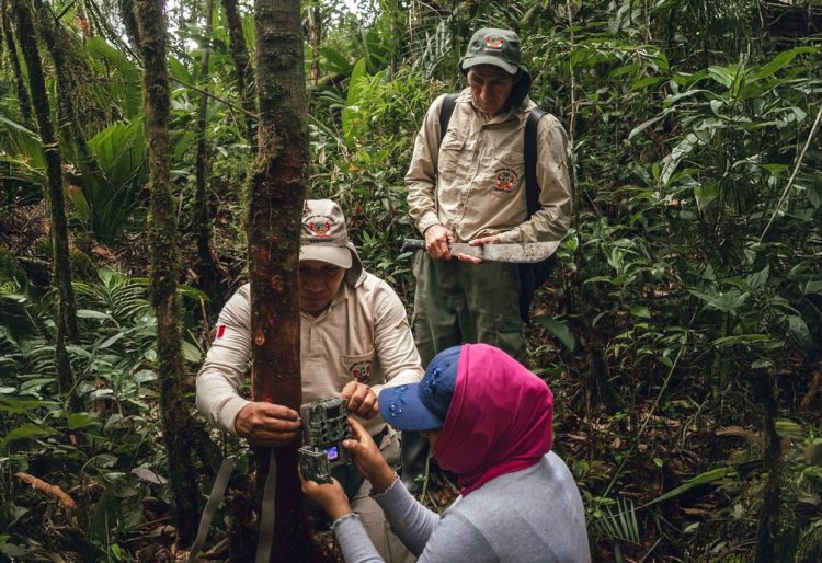 gestión de áreas naturales protegidas