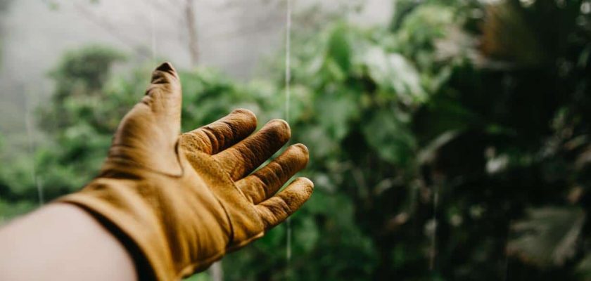 mantenimiento-de-jardines
