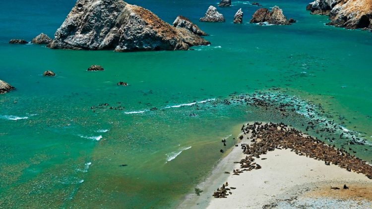 Reserva Nacional de Paracas