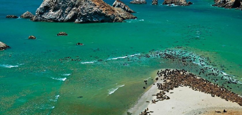 Reserva Nacional de Paracas