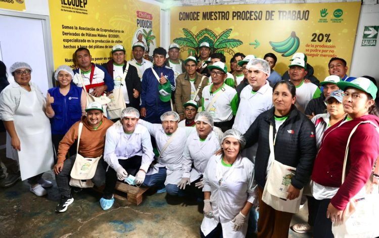 Pasantía Minera