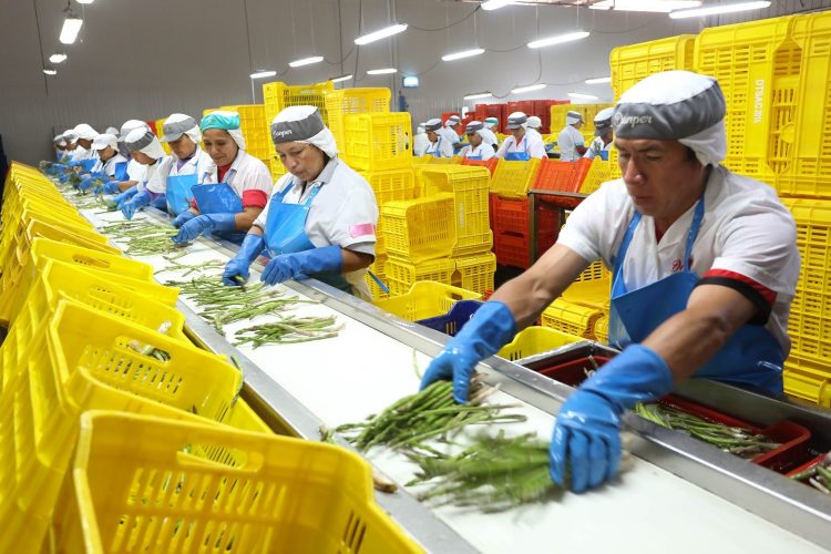 Agroexportaciones peruanas