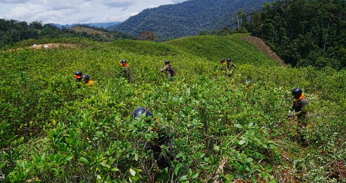 áreas naturales protegidas