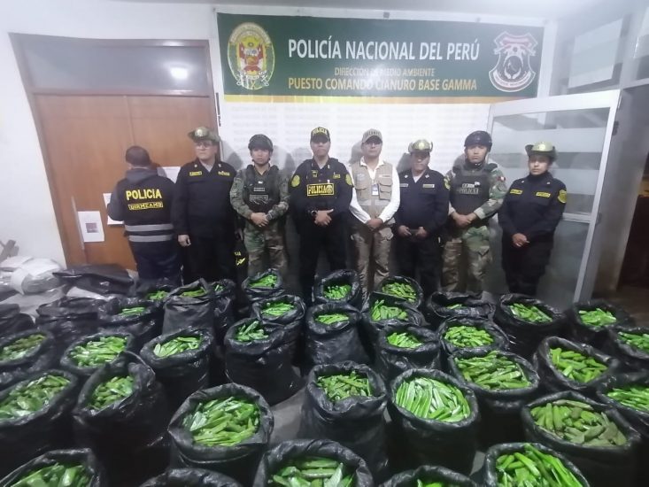 Pataz: PNP incauta más de 20 mil cartuchos de explosivos vinculados a la minería ilegal