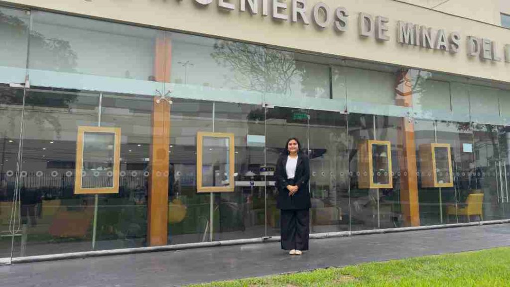 Beca PERUMIN