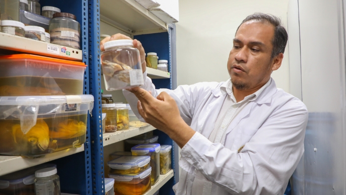 Investigador con muestras biológicas