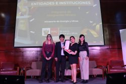 Minem - Empresas e Instituciones - 1er lugar
