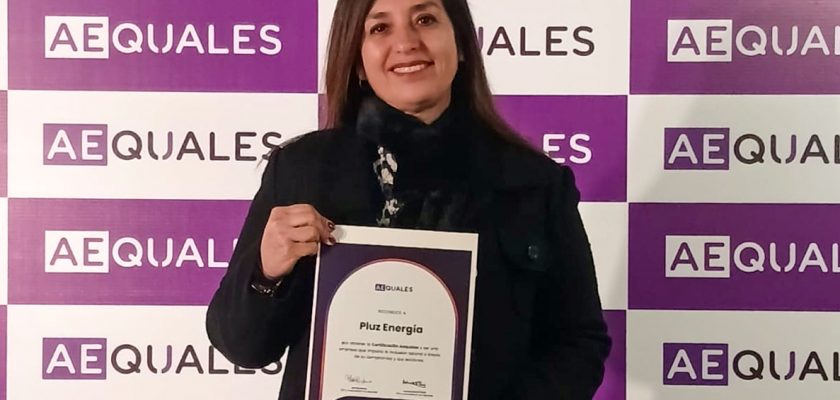 Pluz Energía, diversidad y equidad de género Aequales