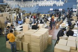 Preparación de material de votación en Santa Cruz