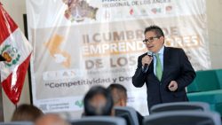 ProInversión, Luis Del Carpio
