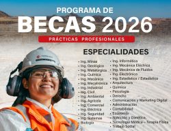 Programa de Becas 2026 - Southern Perú