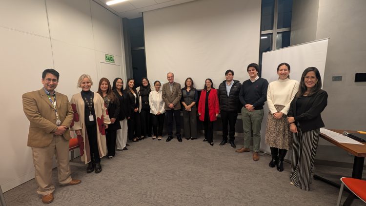 Programa de Innovación Abierta, Pluz Energía