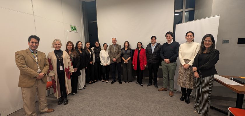 Programa de Innovación Abierta, Pluz Energía