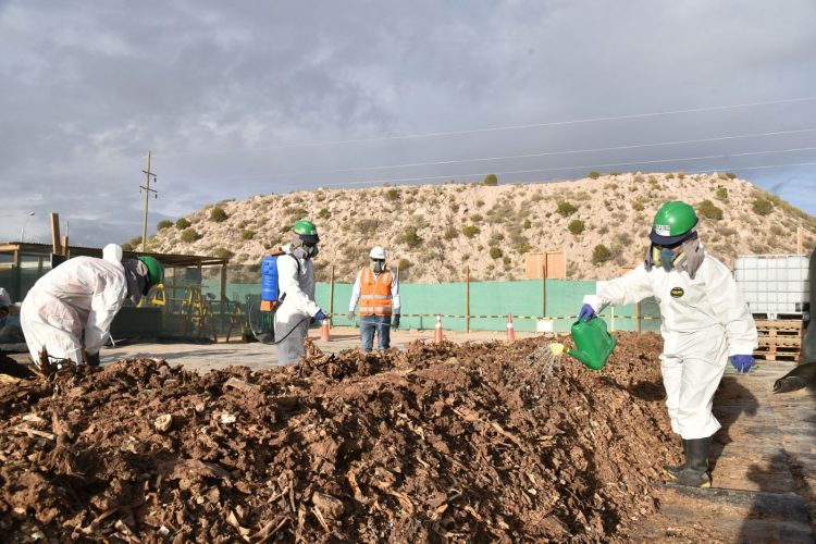 Quellaveco abono para agricultura en Moquegua