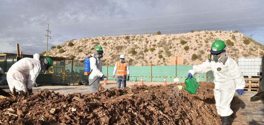 Quellaveco abono para agricultura en Moquegua