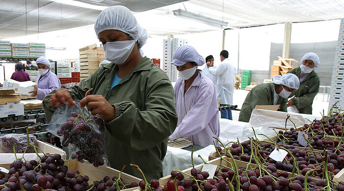 agroexportaciones