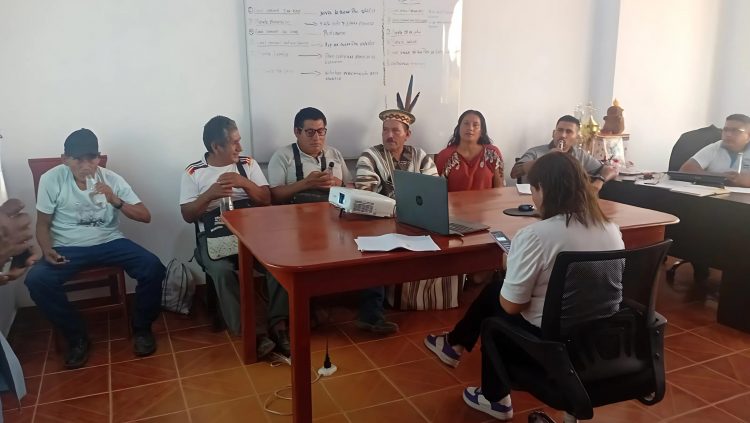 Autoridades de Puerto Inca enviarán informe a la PCM sobre minería ilegal