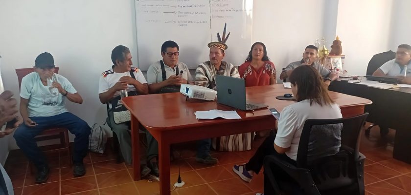 Autoridades de Puerto Inca enviarán informe a la PCM sobre minería ilegal