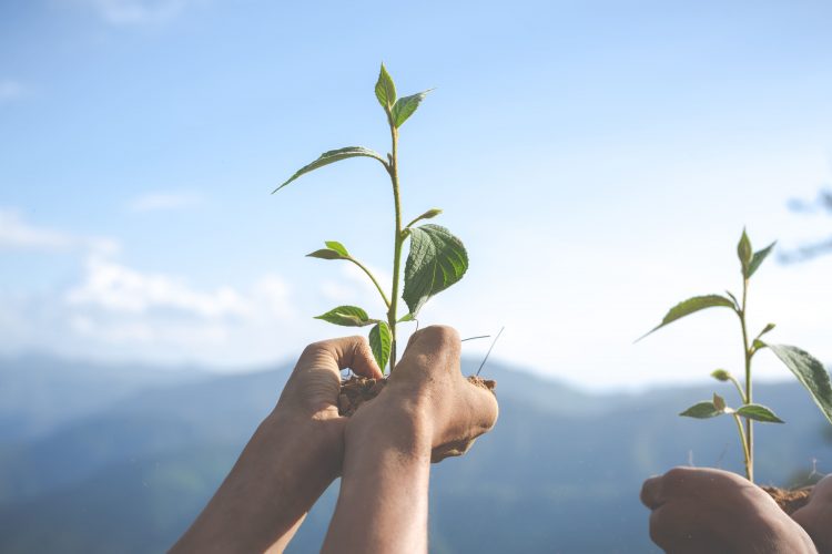 conservación ambiental