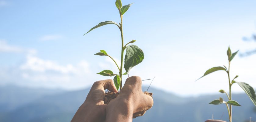 conservación ambiental