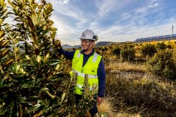 El proyecto de Forestación de Antapaccay