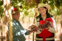 Agro Quellaveco