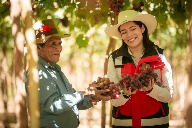 Agro Quellaveco