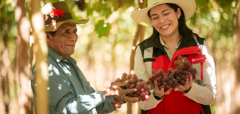 Agro Quellaveco