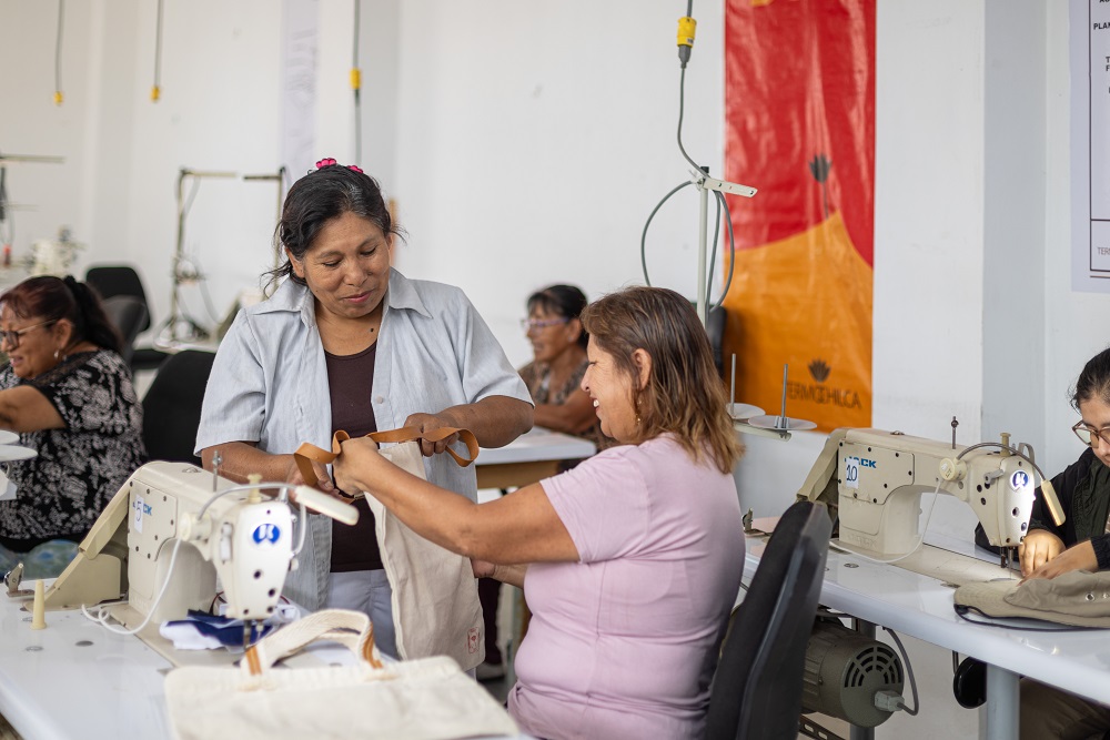 Asociación de Mujeres Emprendedoras, Celepsa