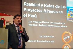 Carlos Alarco, Bechtel