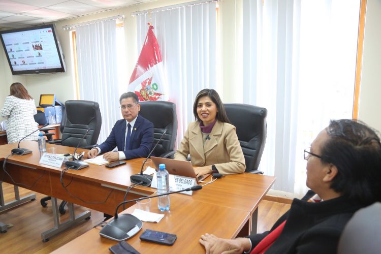 Comisión de Energía y Minas