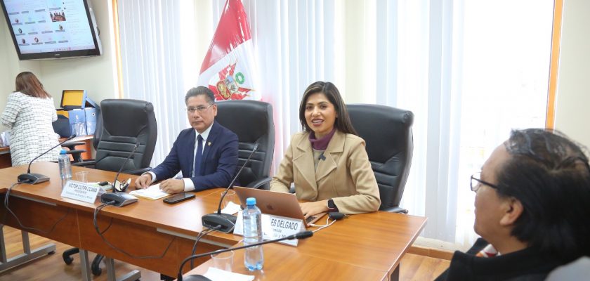 Comisión de Energía y Minas