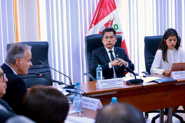 Comisión de Energía y Minas y MINEM