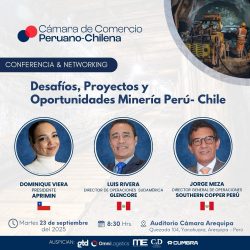 Desafíos, Proyectos y Oportunidades Minería Perú - Chile