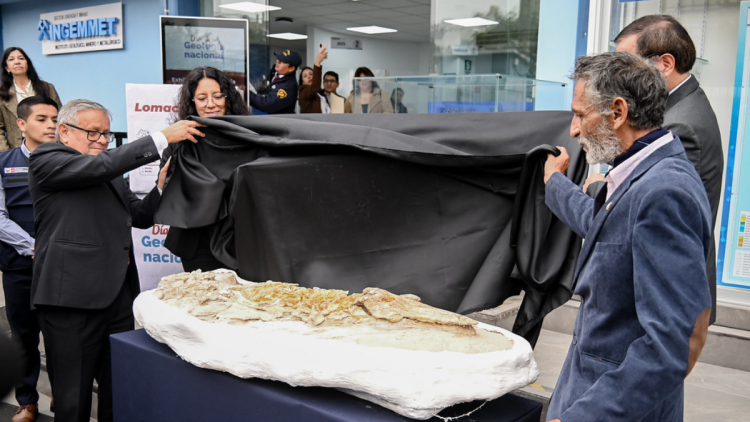 Día Nacional de la Geología (Ingemmet)